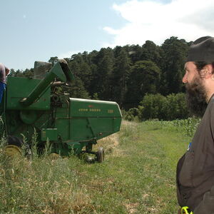 Harvest 10