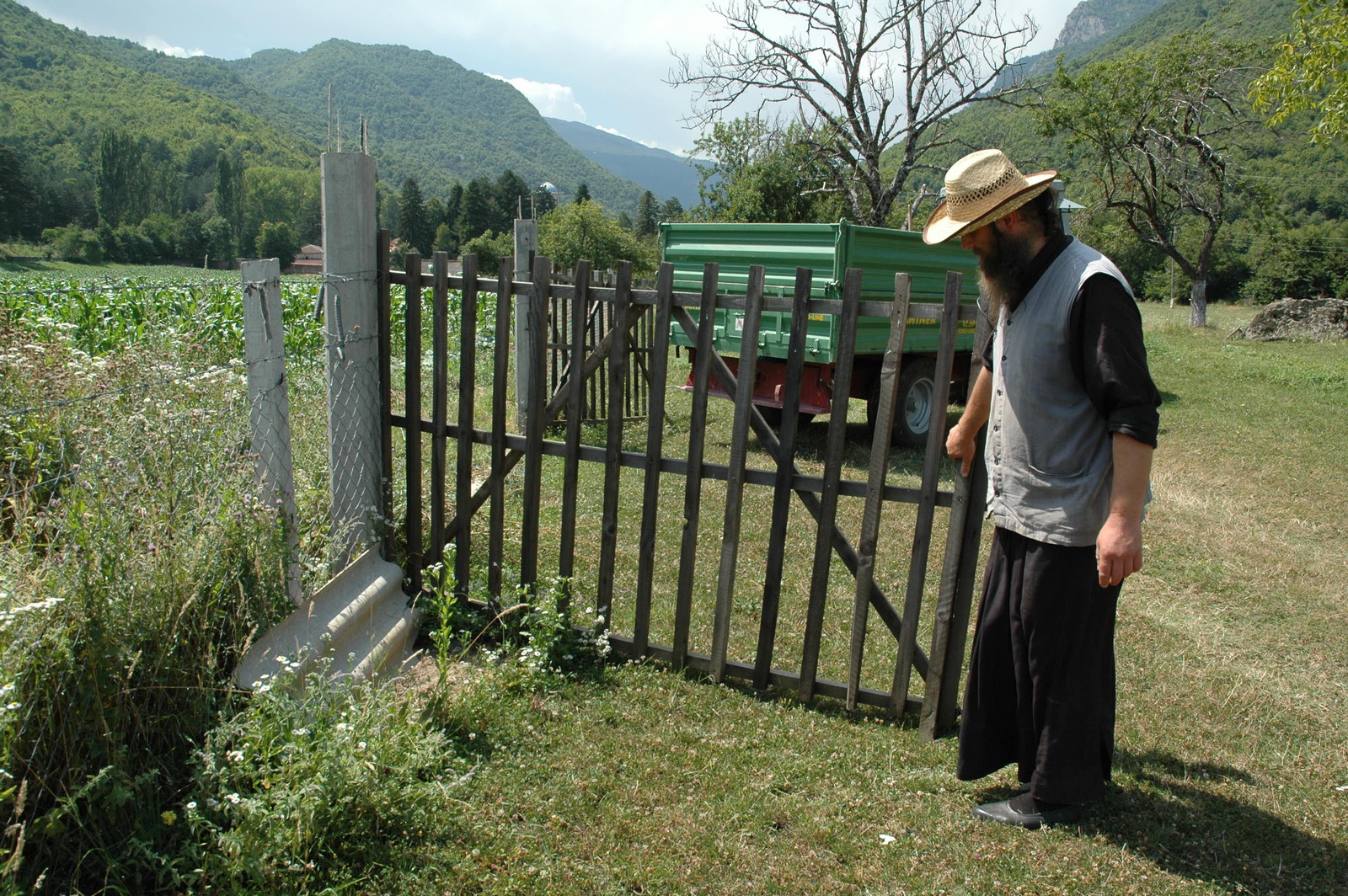 Monk opening a gate for the harvestor to enter