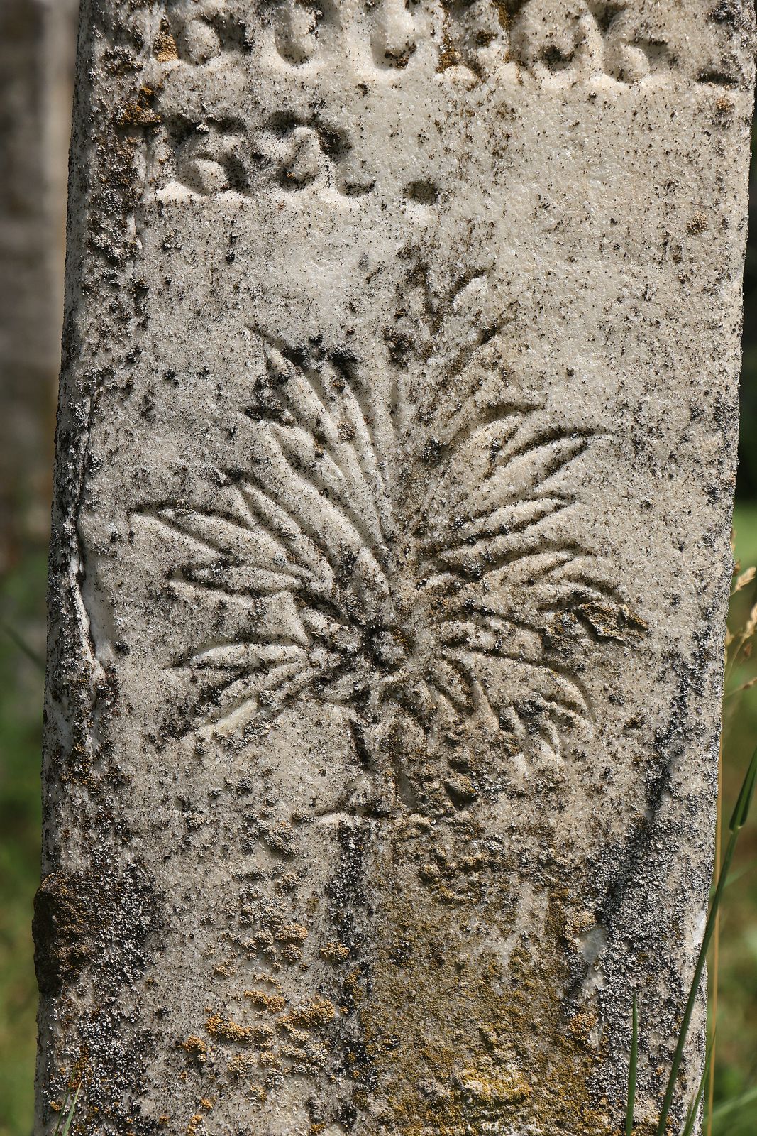 Tombstone of a Serbian soldier killed in the Balkan War, detail