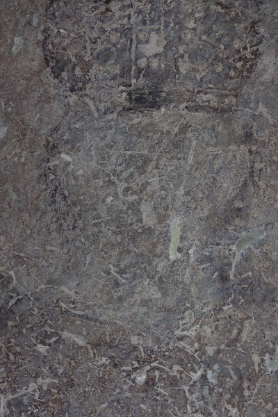 Serbian King Dušan, detail