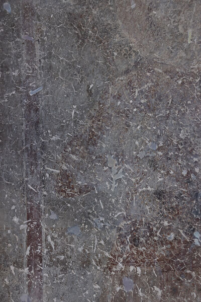 Serbian King Dušan, detail