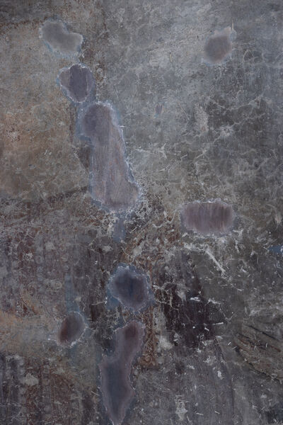 Duke Dejan, detail