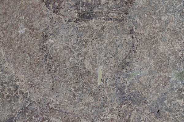 Serbian King Dušan, detail