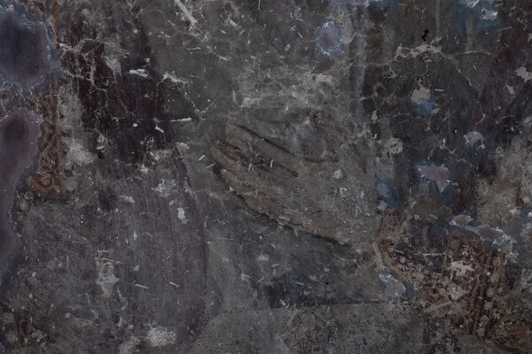 Duchess Vladislava, detail