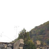 MAN_1_IMG_8666-2.JPG