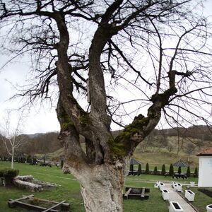 Southern part of the courtyard