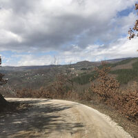 MIL_1W_IMG_9824.JPG