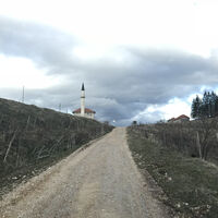 MIL_1W_IMG_9892.JPG