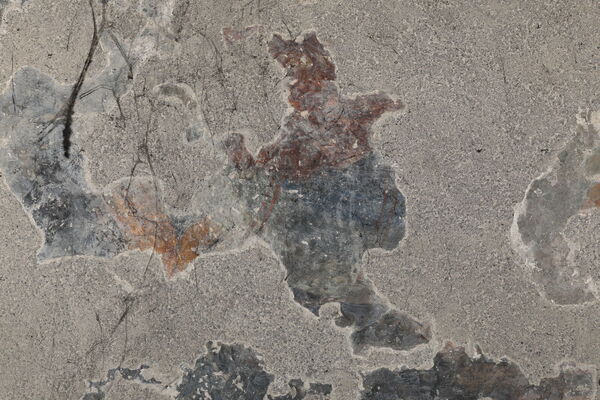 Fresco fragments