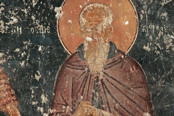 Saint Theodosius the Cenobiarch, detail