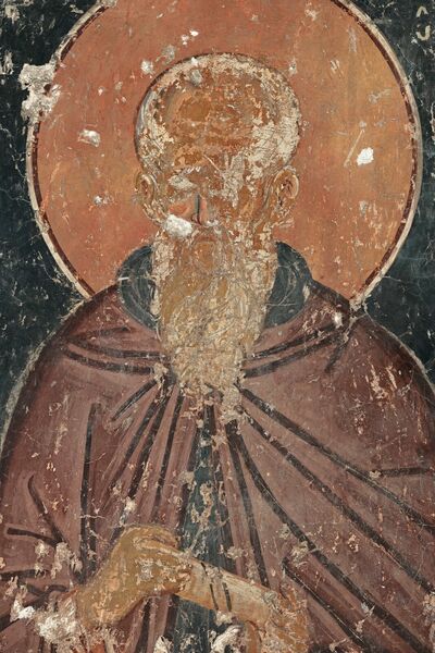 Saint Theodosius the Cenobiarch, detail