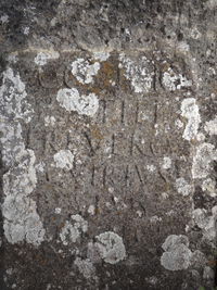 Римски камени споменик са натписом