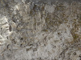 Камена сполија уграђена у источни зид припрате