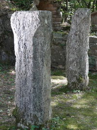 Профилисани стубови који су носили лукове прислоњене на источни зид кухиње