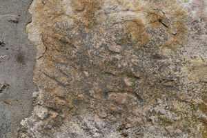 Камена плоча са старословенским натписом (садржај текста није установљен)