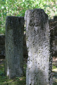 Профилисани стубови који су носили лукове прислоњене на источни зид кухиње