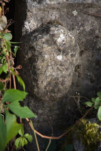 Људска глава у високом рељефу, детаљ римске стеле