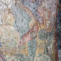 Transfiguration