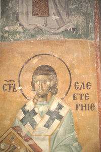 CX4J0882.JPG