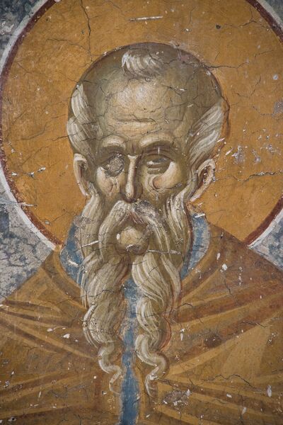 St. Theodosius the Cenobiarch, detail