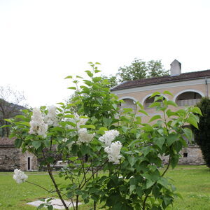 Monastery courtyard